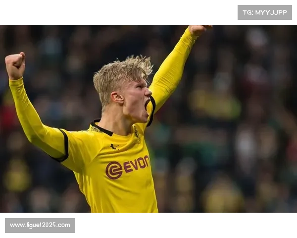 哈兰德欧冠场均超一球，数据背后是进球机器的极致效率